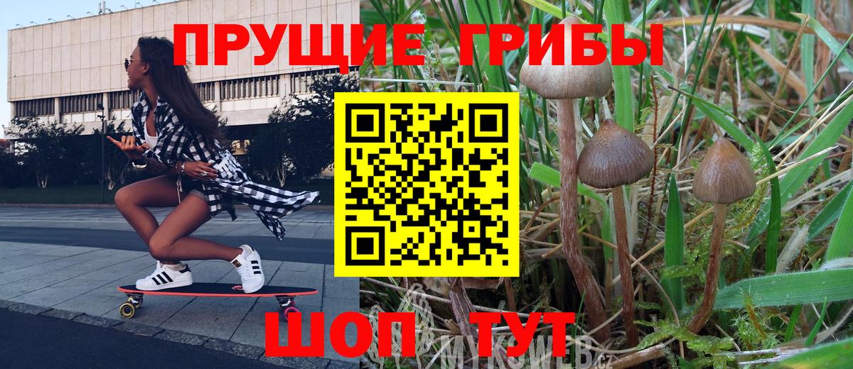 Туймазы  Галлюциногенные грибы Psilocybe  Вход с VPN 